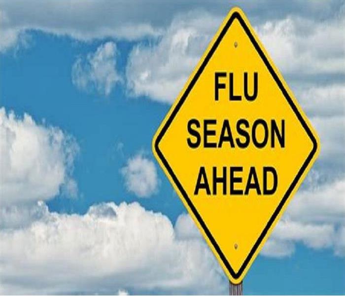 flu season 